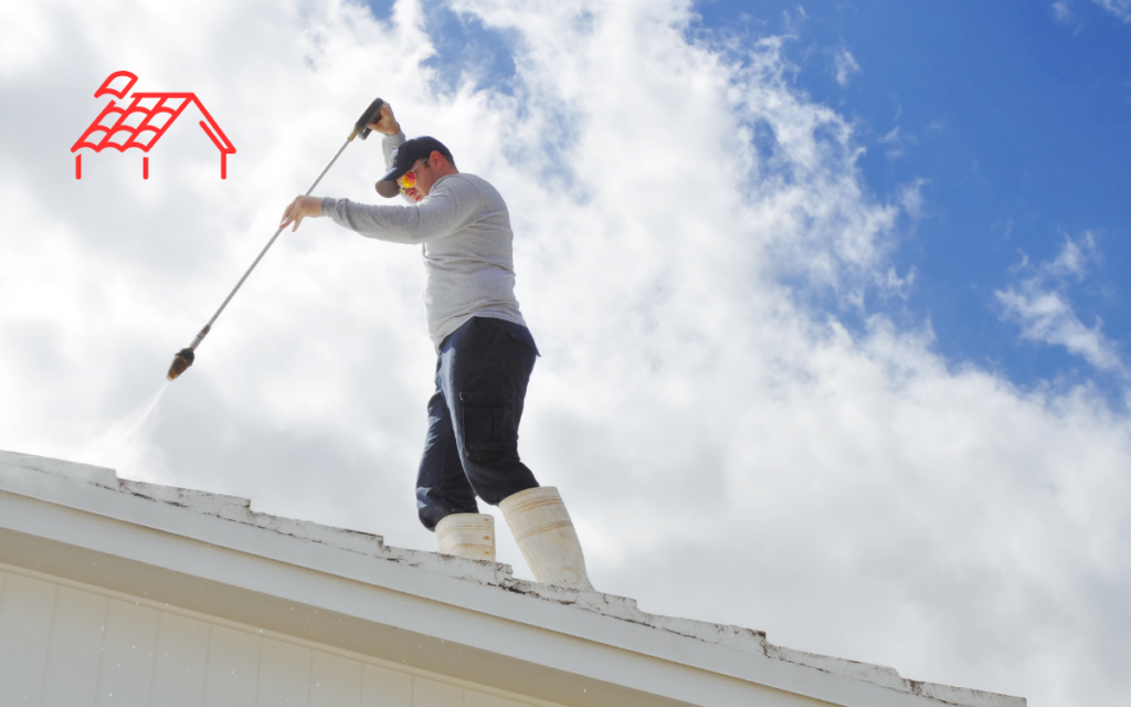 Roof Cleaning (6)