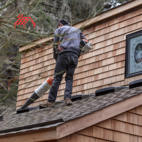 Roof Cleaning (8)