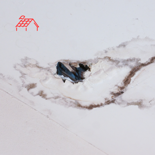 Roof Leak Fix (7)