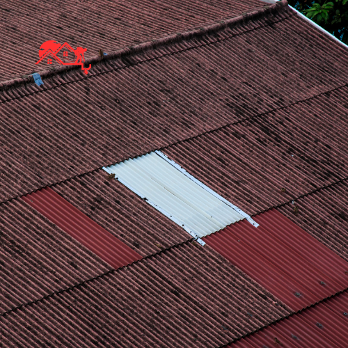 Roof Patch (2)