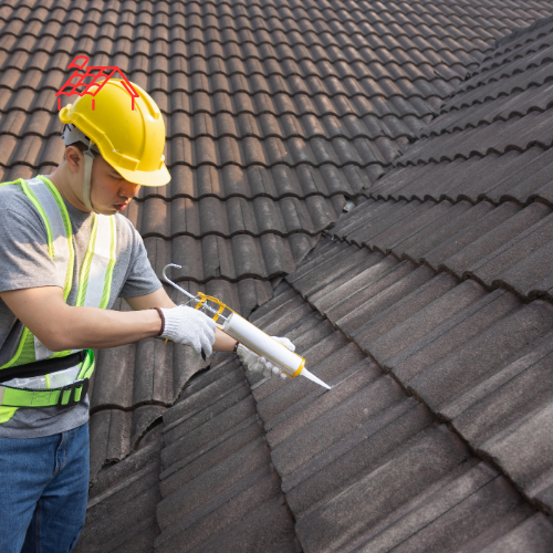 Roof Sealant