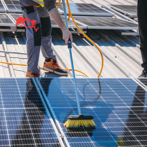 Solar Panel Washing (5)_