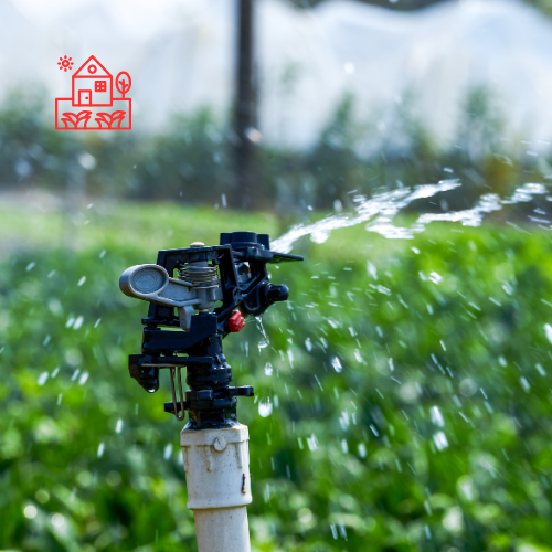 Sprinkler Systems (2)