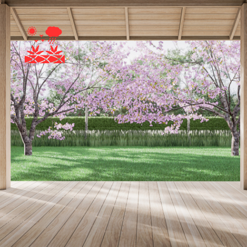 Terraced Garden Design