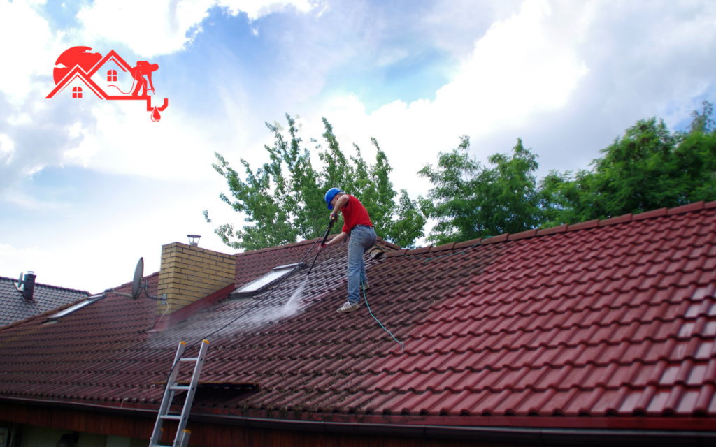 Tile Roof Cleaning