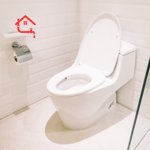 Toilet Fixing (5)