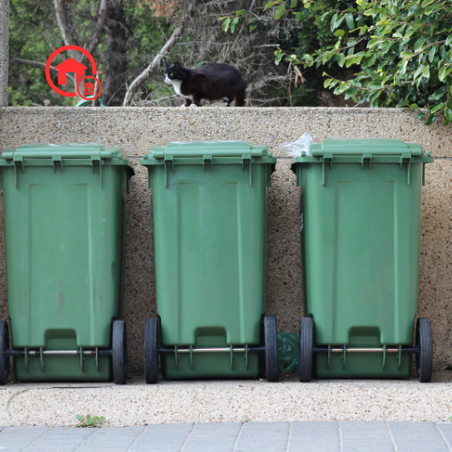 Trash Pickup (9)