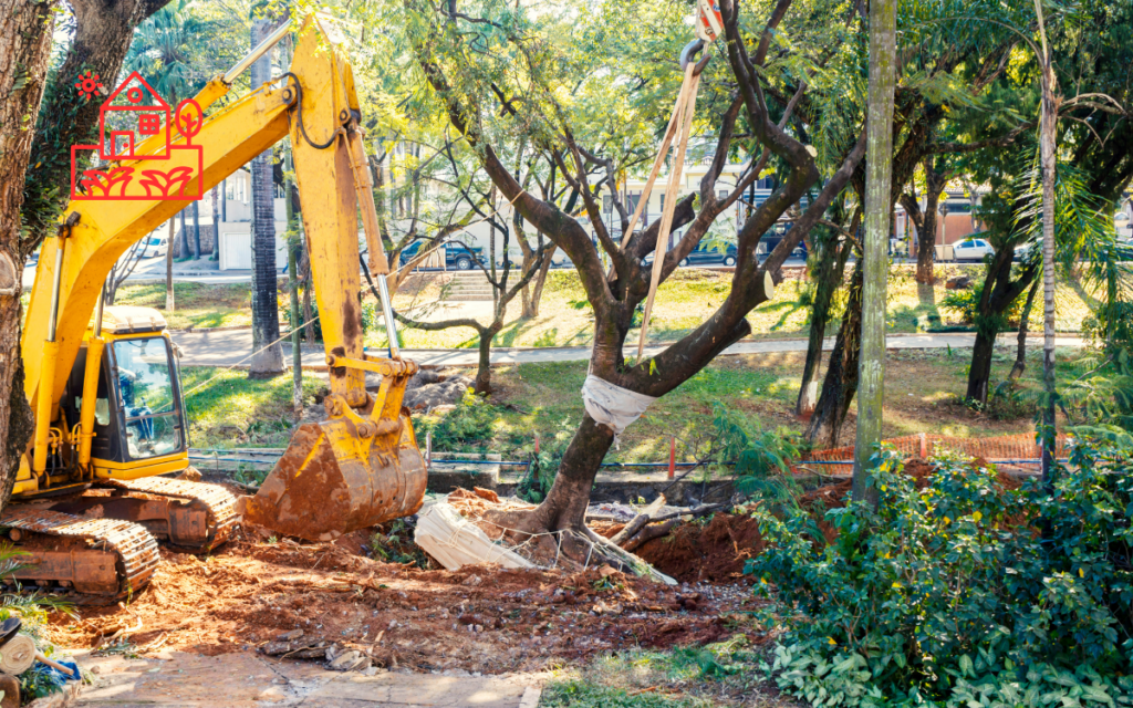 Tree Removal (5)