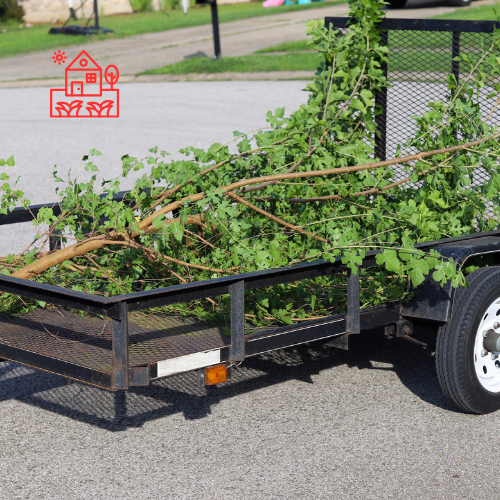 Tree Removal (6)