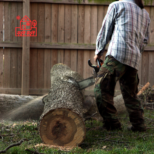 Tree Removal (7)