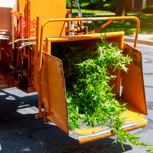 Tree Removal (8)