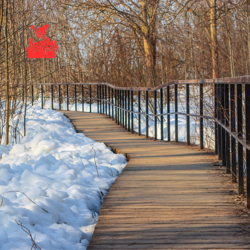 Walkway Snow Clearing (7)