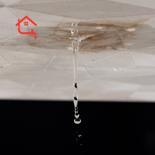 Water Leak Repair (9)