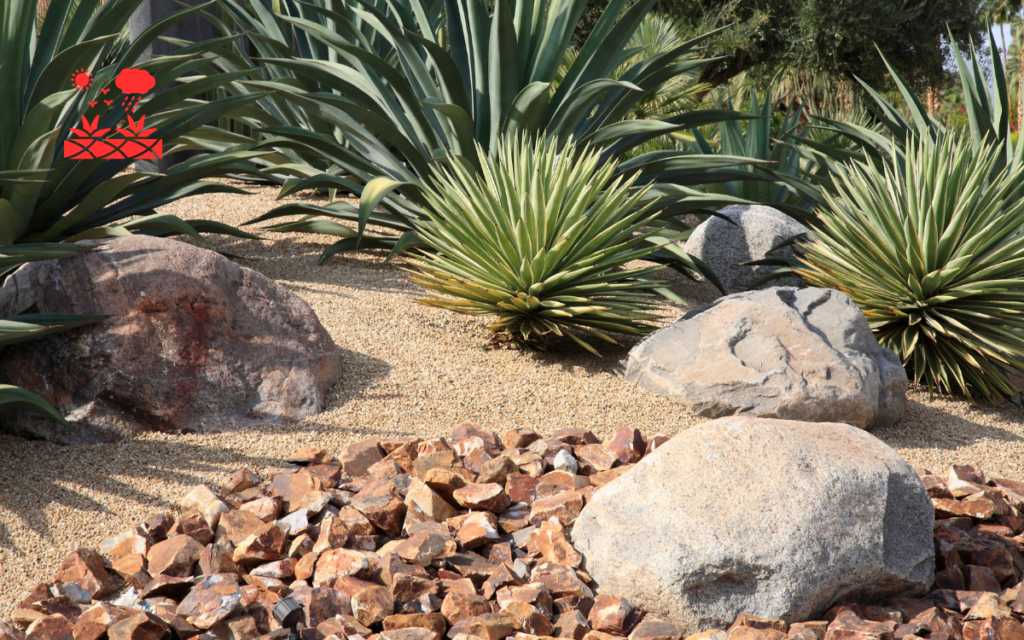 Xeriscape Planning (2)