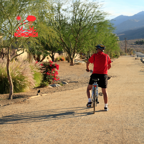 Xeriscape Planning (4)