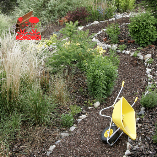 Xeriscape Planning (5)