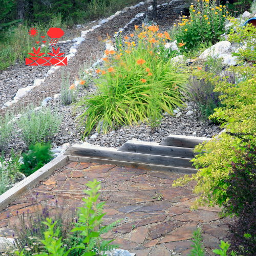 Xeriscape Planning (6)