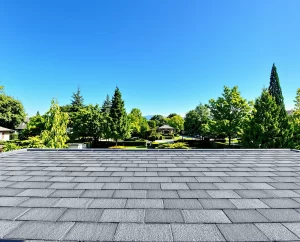 Home Roof Cleaning Service